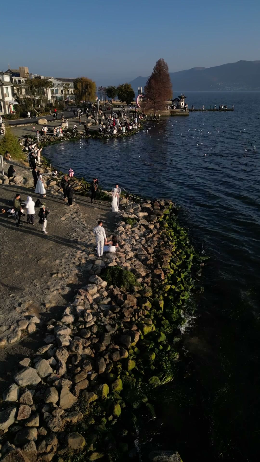 Erhai Lake & Cangshan · Wind, Flowers, Snow & Moon preview